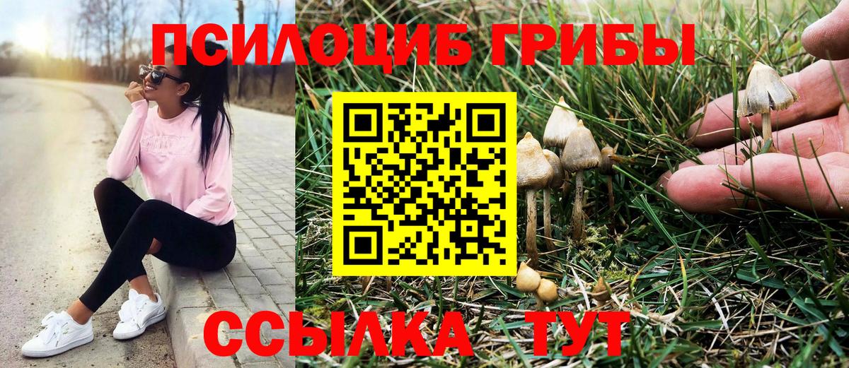цены наркотик  Вход с VPN  Полевской  Псилоцибиновые грибы ЛСД 